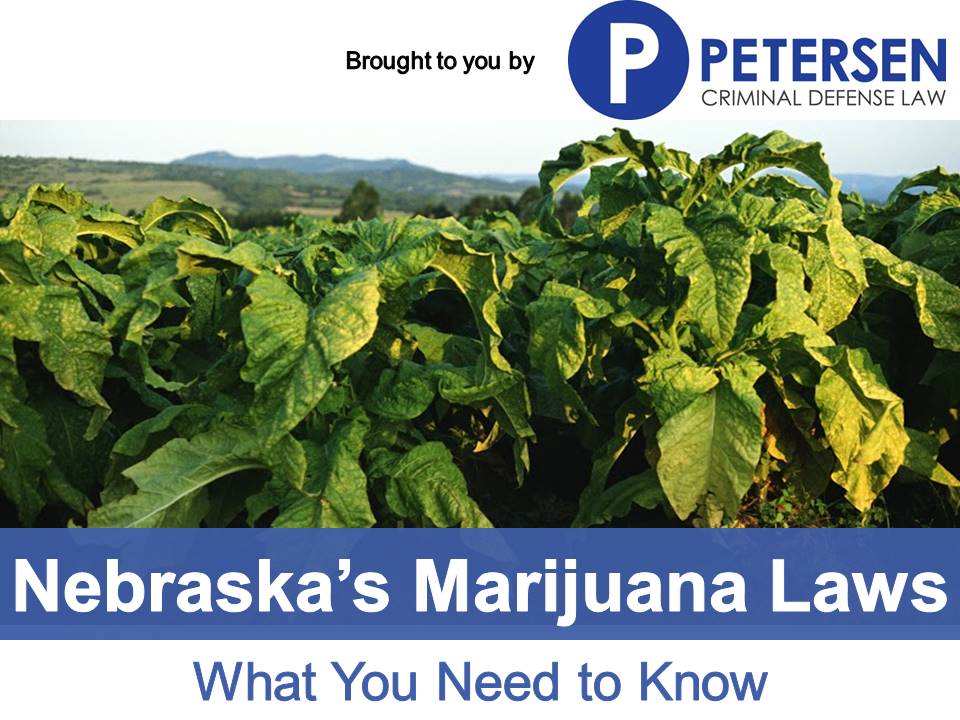 Nebraska's Marijuana Laws What You Need To Know Petersen Criminal Law